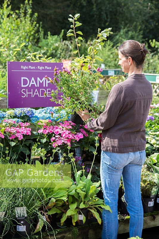 Clientèle féminine parcourant les plantes sur le thème de l'ombre humide dans une jardinerie.