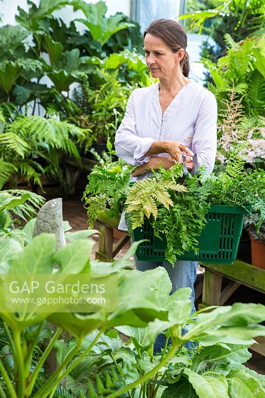 Femme parcourant les plantes à vendre dans la section ombragée d'une jardinerie
