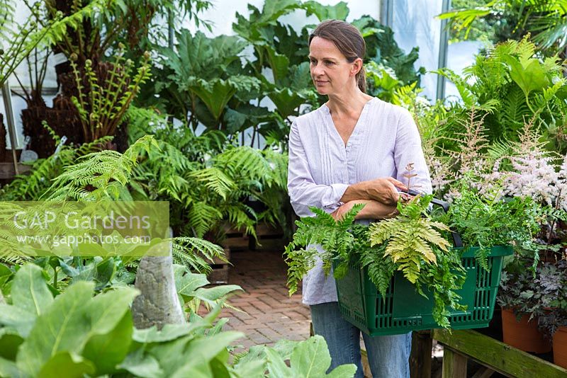 Femme parcourant les plantes à vendre dans la section ombragée d'une jardinerie