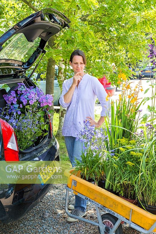 Un coffre de voiture pas assez grand pour transporter des plantes achetées dans un centre de jardinage