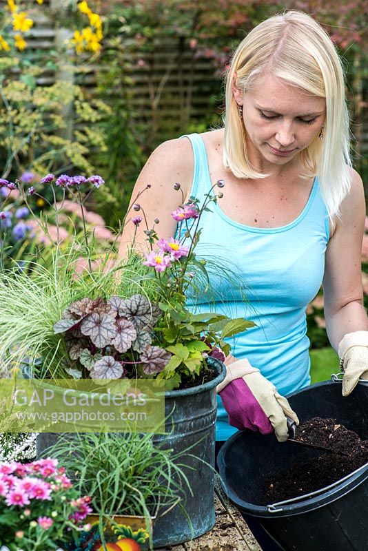Planter un pot récupéré étape par étape. Remplissez le pot de terreau et raffermissez pour sécuriser les plantes.