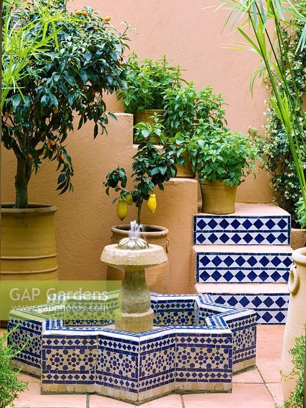 Cour marocaine avec arbres fruitiers en pot et différentes variétés de menthe. Piscine et fontaine centrale en forme d'étoile et carrelée.