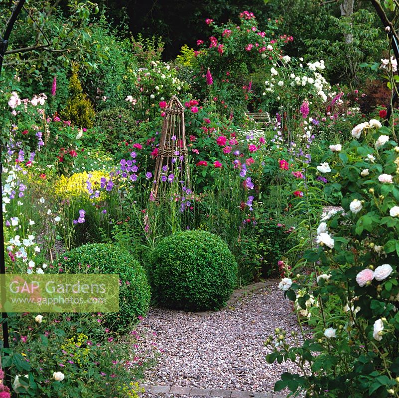 Dans le jardin d'herbes aromatiques, des boules de boîtes ponctuent les chemins de gravier et les parterres de digitale, de campanule, de marguerite, d'apothicaire rose, d'herbes et sur l'arche lointaine Rosa Iceberg et le pilier américain.