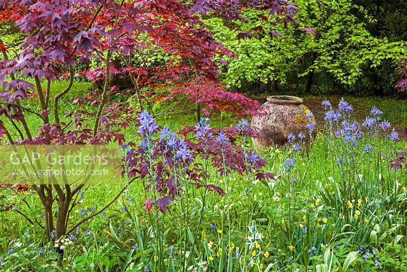 Fleurs de printemps et un pot dans le pré de fleurs sauvages, Highgrove Garden, mai 2014.