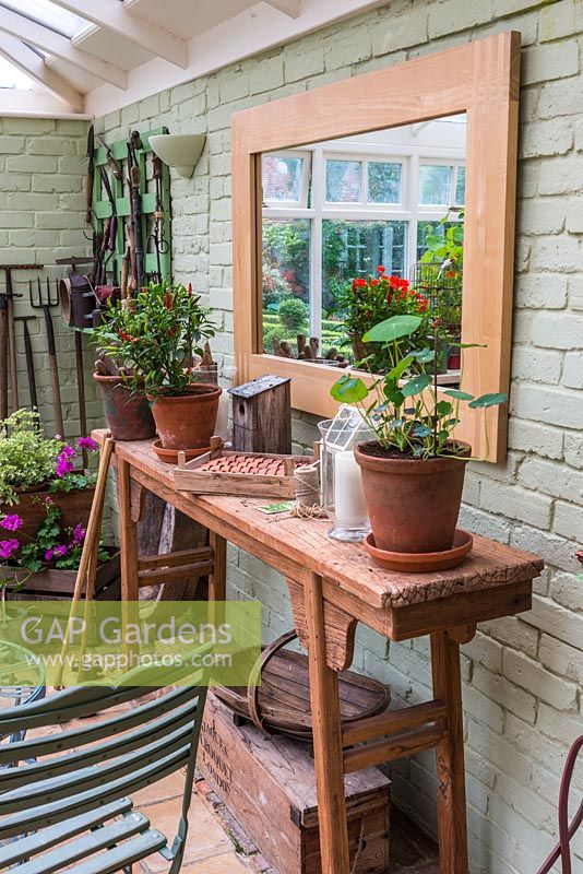 Une véranda avec une sélection d'outils de jardinage vintage, une plante de piment, de la jeune capucine et de l'attirail de jardinage.