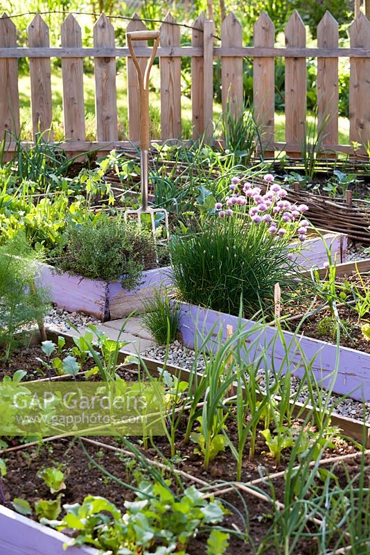 Jardin potager avec bordures végétales en relief au printemps.