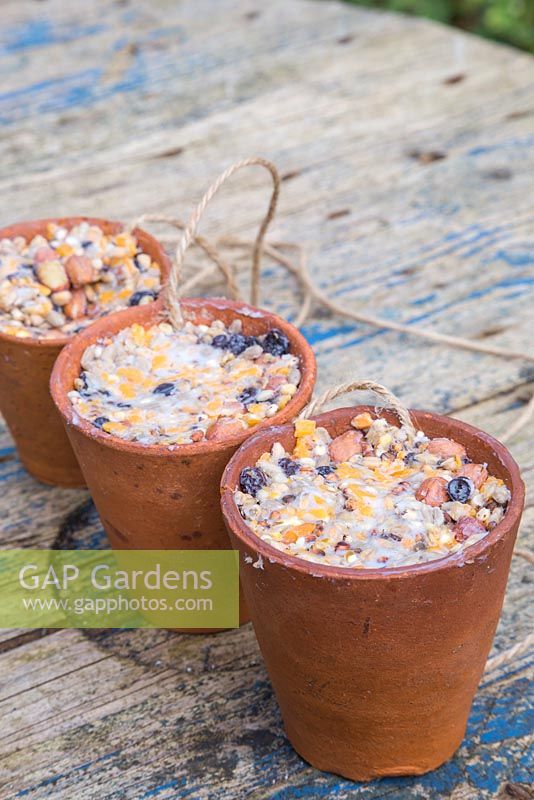 Pots en terre cuite remplis d'un mélange de saindoux ou de graisse, de raisins secs, de graines pour oiseaux, de fromage et d'arachides