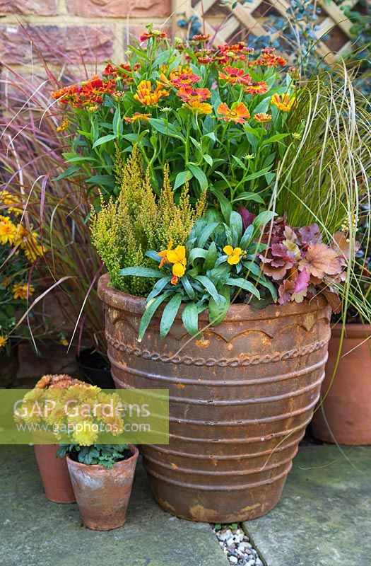 Un pot d'automne avec Cheiranthus 'Sugar Rush Orange', la série Heuchera 'Blondie' Little Cuties, Erica sparsa, Carex 'Prairie Sky' et Helenium mexicanum 'Poncho'