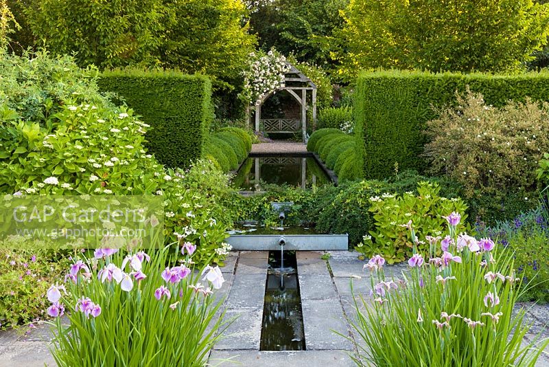 Le Lower Rill Garden à Wollerton Old Hall Garden, Shropshire, la plantation comprend Iris ensata, Hortensias, Géraniums et Salvias