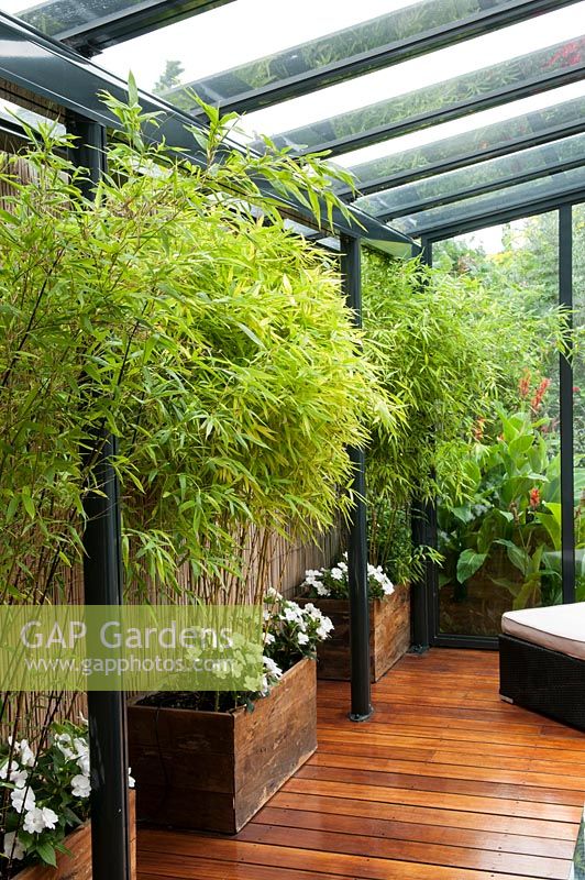 Salon de jardin couvert avec tamis en bambou et trois auges plantées de Phyllostachys nigra et aureosuicata et Busy Lizzies - Impatians sp.