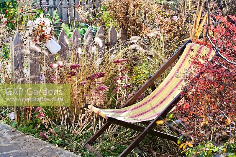 Chaise de terrasse en bois parmi les vivaces et les graminées en automne: Pennisetum, Crocosmia 'Lucifer', Aster, Sedum, Panicum virgatum.