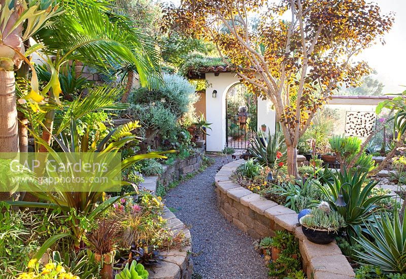 Chemin à travers les parterres de murs jusqu'à la passerelle. Jardin de Jim Bishop. San Diego, Californie, USA. Août.