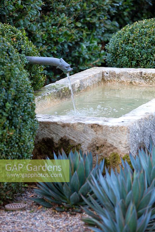 Scott Shraders, États-Unis. Vue sur jardin de gravier contenant des balles de boîte topary et Agave avec une pièce d'eau et d'oliviers matures.
