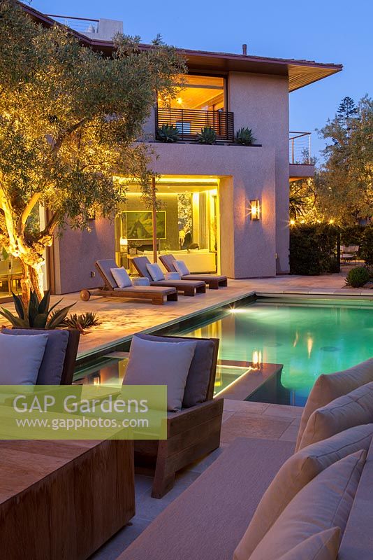 Vue sur la piscine moderne et la maison avec des chaises longues et un olivier mature au crépuscule.