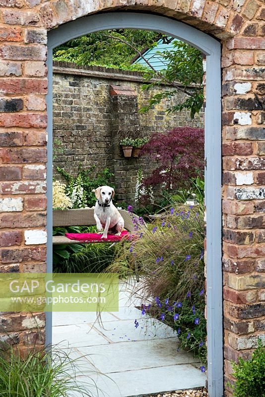 Porte dans les cadres de mur de brique vue sur le petit jardin de la cour pavée. Assis sur un banc, Harry le beagle.