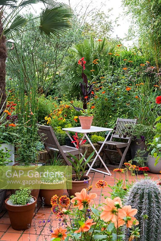 Un jardin tropical avec un coin salon entouré d'un parterre de fleurs chaud planté de tithonie, de canna et de zinnia. Olivier et Chamaerops humilis paume derrière.