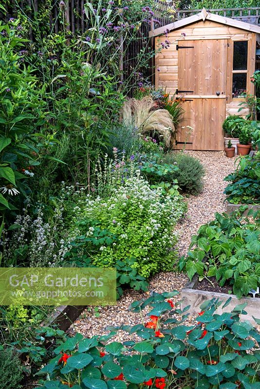 Un potager de jardin avec des bordures de légumes surélevées, un parterre de fleurs et de plantes vivaces et un hangar de stockage en bois