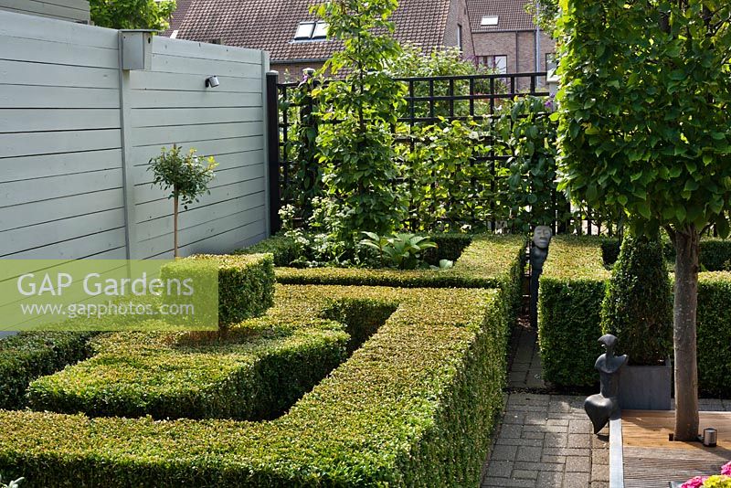 Coffret parterre et Carpinus betulus formé 'Frans Fontaine' dans petit jardin contemporain. Famille Fabry - Mathijs. Belgique