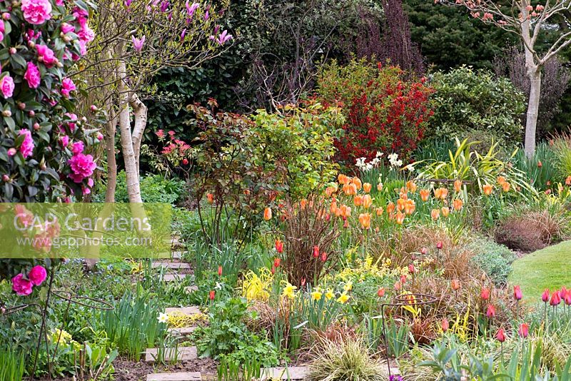 Un jardin printanier coloré avec un parterre de tulipes, de jonquilles et de graminées ornementales.
