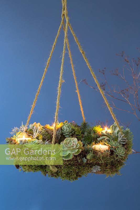 Une succulente couronne suspendue, plantée d'une variété de succulentes, de mousse et de bougies