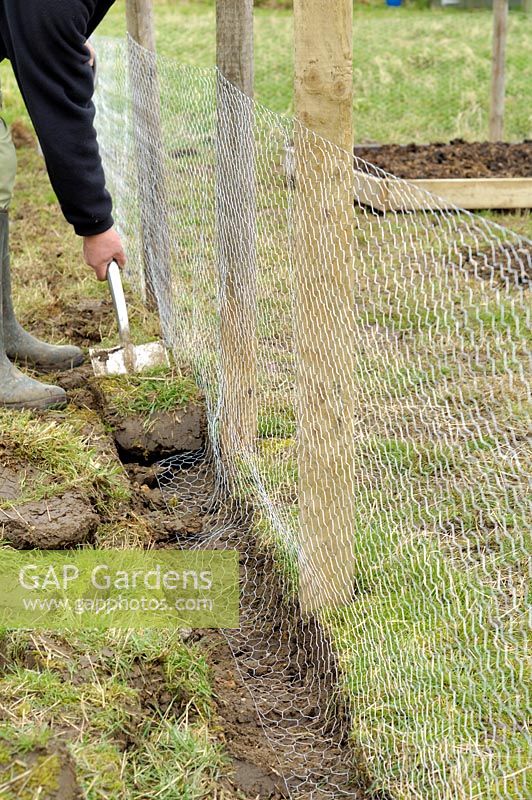 Érection d'une clôture à l'épreuve des lapins autour de l'allotissement, UK