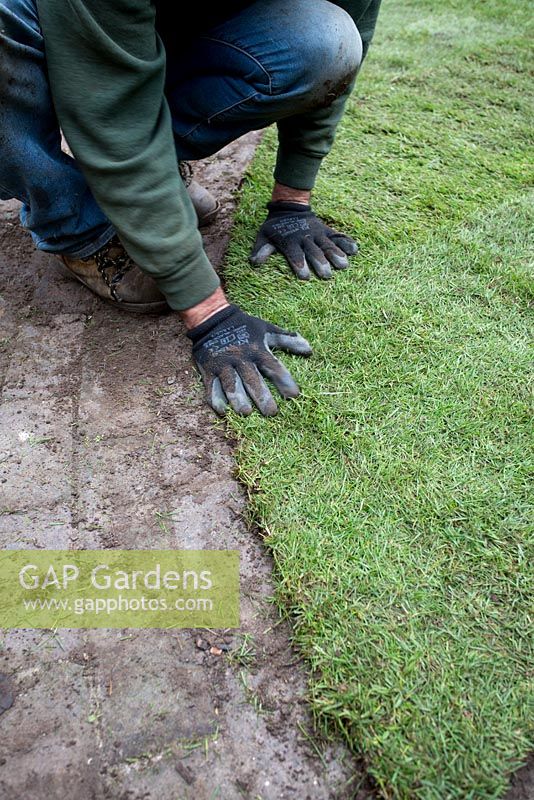 À l'aide de sécateurs pour couper le gazon autour du bord du patio en brique pour une nouvelle pelouse dans le jardin arrière de Londres