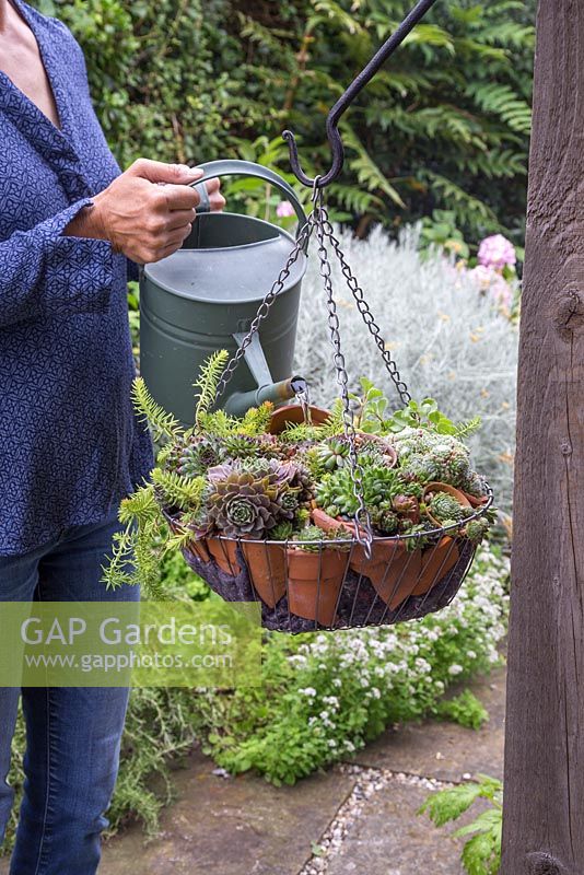 Femme arrosant un panier suspendu contenant des plantes succulentes et des pots en terre cuite