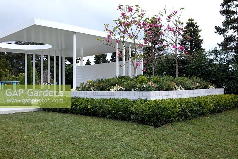 Un pavillon extérieur moderne avec Magnolia 'Vulcan'