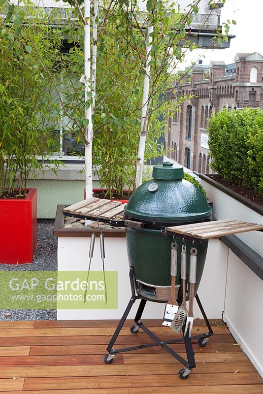 Barbecue et pots avec Betula utilis 'Doorenbos' sur un jardin en terrasse sur le toit à Rotterdam, Hollande.