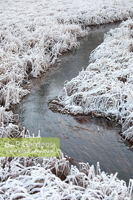 Ruisseau incurvé dans un paysage d'hiver gelé.