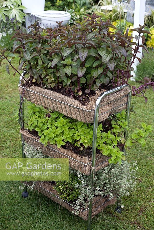 Jardinière à légumes dans le jardin recyclé et réutilisé BBC Gardeners World Live 2015