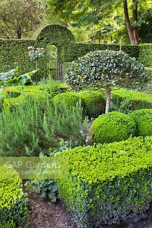 Jardin de noeud d'herbes avec Buxus - Couverture de boîte. Création: Dina Deferme