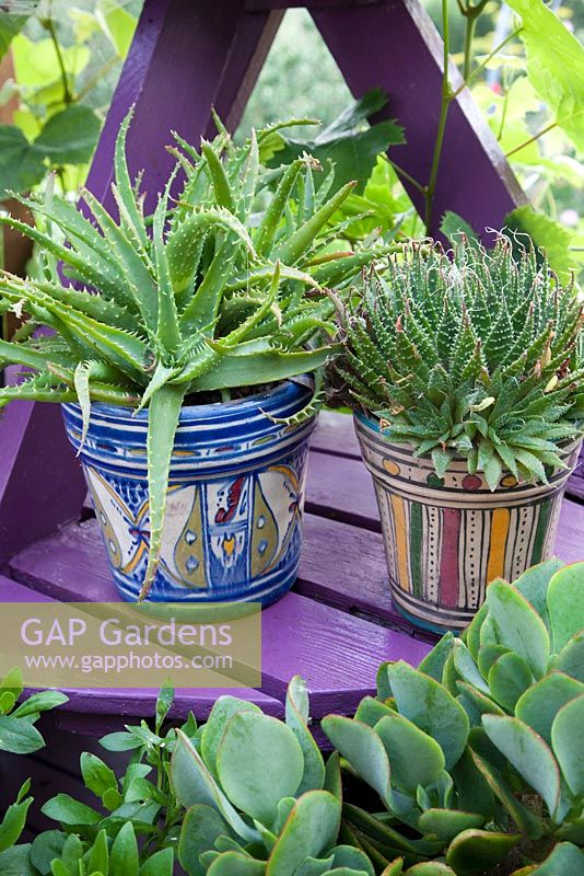 Pots décoratifs peints à motifs sur socle violet avec plantes succulentes. Jardin patio. Propriétaire: Pattie Barron, jardinière