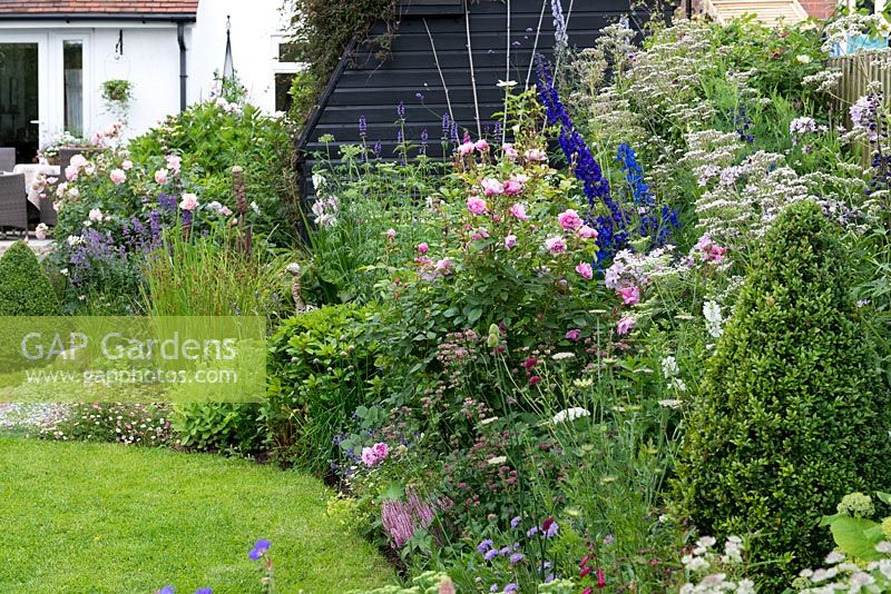 Le parterre herbacé de style cottage est planté de Rosa 'Sister Elizabeth', Delphinium 'Excalibur', Astrantia, Scabious, Valerian, Campanula, Agastache et wild carot.