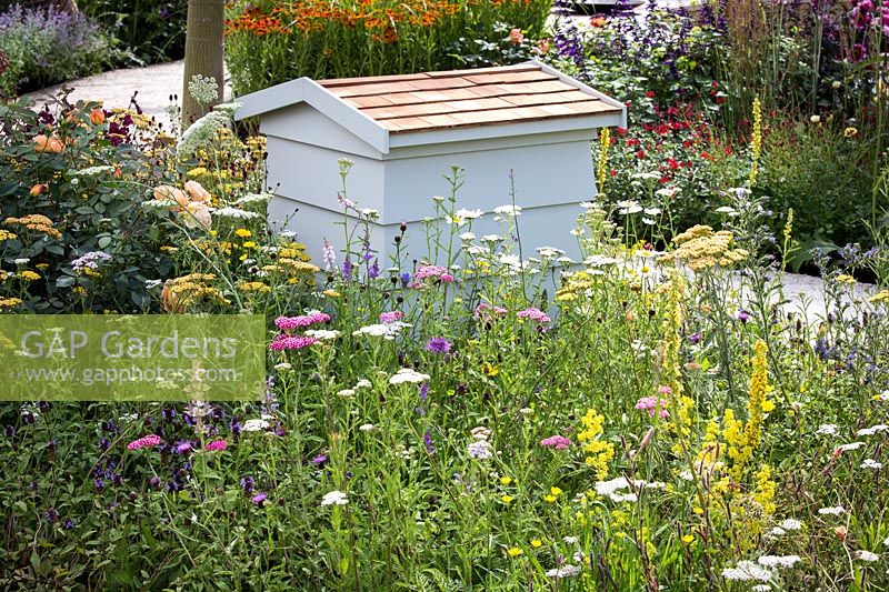 Hampton Court Flower Show, 2017. Jardin «Tout est une question de communauté», des. Andrew Fisher Tomlin et Dan Bowyer. Ruche parmi les fleurs sauvages
