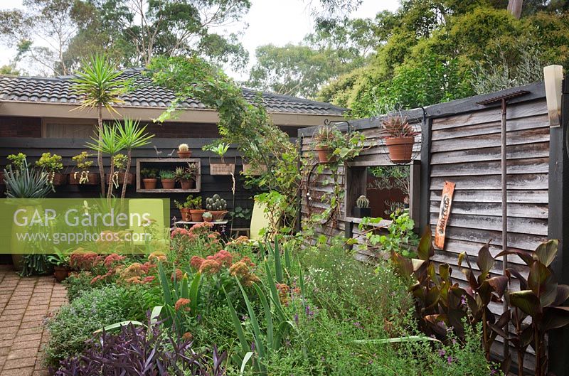 Plan large d'un parterre de jardin d'un chalet qui regarde en arrière vers la maison entourée d'un mur de bois autoportant recyclé, avec des pots montés sur les murs plantés de plantes succulentes.