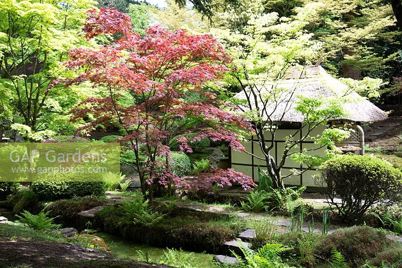 La maison de thé dans le jardin japonais, Tatton Park, Cheshire