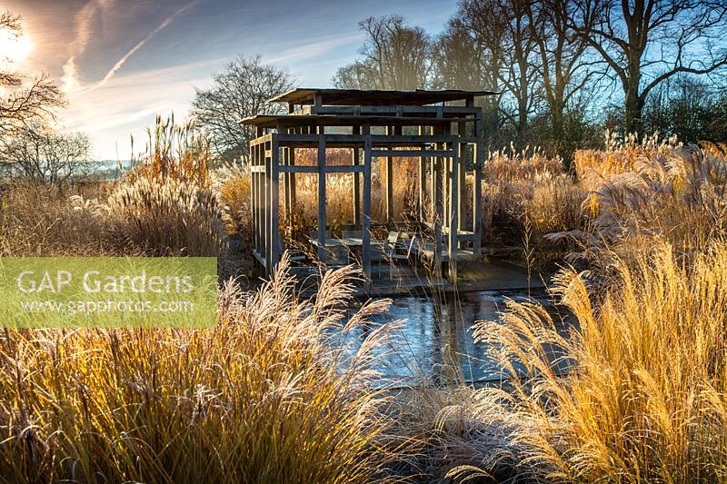 Vue sur la piscine réfléchissante et des étendues de Miscanthus et d'autres herbes hautes au coin salon dans une maison de campagne en chêne moderne dans le jardin avant minimaliste en hiver à Bury Court Gardens, Hampshire. Conçu par Christopher Bradley-Hole.