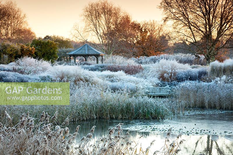 Le jardin du millénaire à Pensthorpe à Norfolk en hiver conçu par Piet Oudolf.