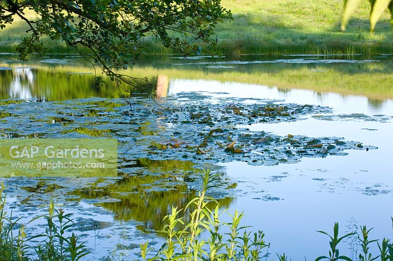 Lac en été, Brockhampton, Herefordshire.