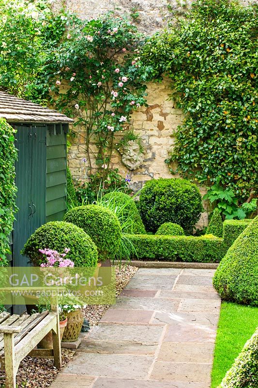 Abri de jardin avec boîte topiaire, Oxfordshire, juin.