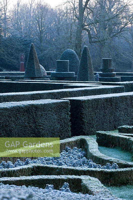 Jardin à la française avec Taxus baccta coupé - couvertures d'if et formes topiaires le jour d'hiver glacial