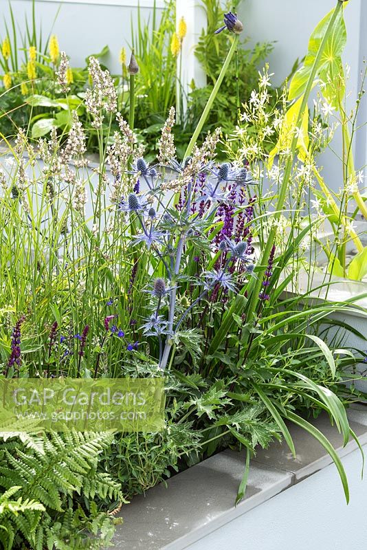 The Urban Rain Garden au RHS Hampton Court Flower Show 2017. Designer: Rhiannon Williams. Sponsors: Landform Consultants, Squires Garden Centres,
