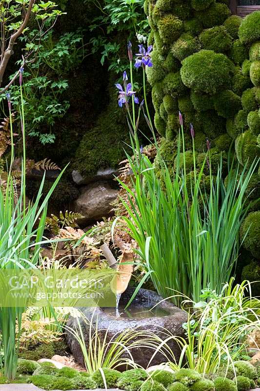 Petit bec verseur dans un jardin de style japonais traditionnel, le Satoyama Life Garden, des. Kazuyuki Ishihara.
