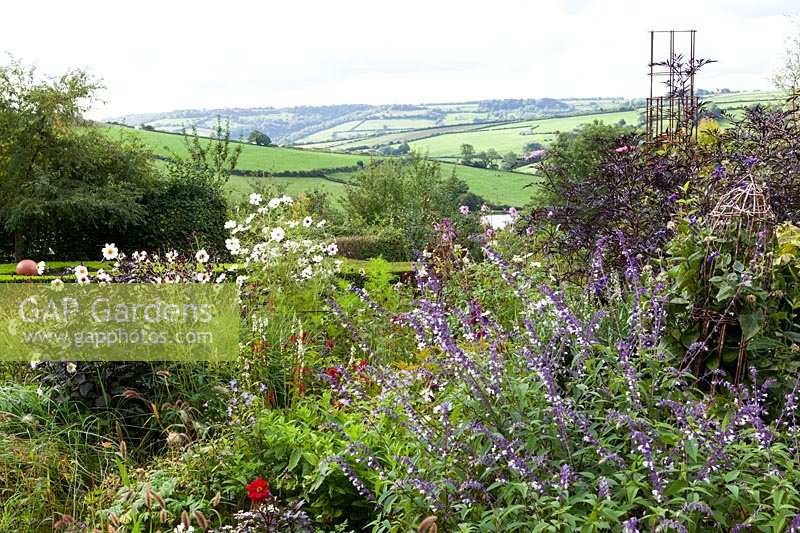 Derry Watkins Garden at Special Plants, Bath, Royaume-Uni. Parterres de fin d'été avec vue sur la campagne