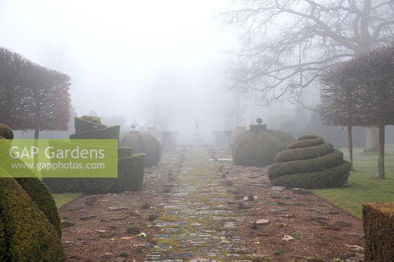 The Thyme Walk in the mist, avec Golden Yew Topiary, Highgrove Garden en février 2019.
