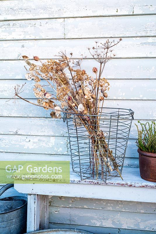 Bouquet de têtes de semences séchées attachées avec de la ficelle affichée dans un panier métallique dans le jardin