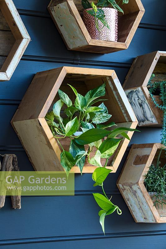 Gros plan de la boîte de jardinière en bois hexagonal décoratif monté sur le mur.