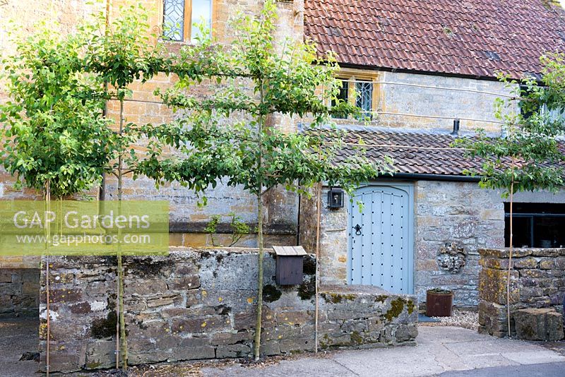 Pommes sauvages pêchées encadrant une porte de la ferme, une ancienne guérite d'un long prieuré clunisien démoli, UK