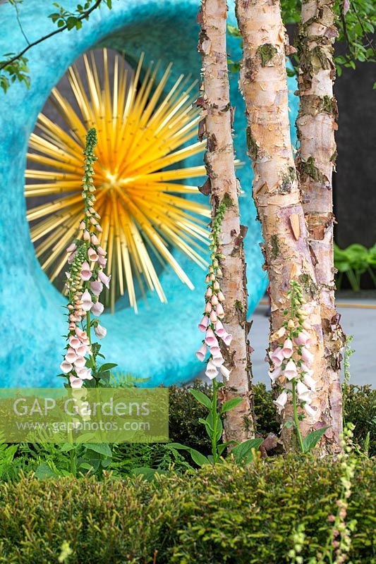 Sculpture d'Aeon avec Betula et Digitalis, The David Harber and Savills Garden, RHS Chelsea Flower Show, 2018